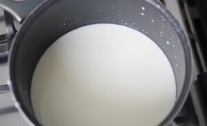 Receta de Yogurt griego estilo casero